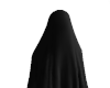S. Veiled Sculpture