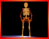 Halloween~skeleton