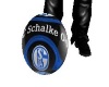 `Football-Schalke04`