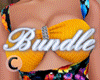 Spring Version 3 Bundle