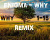 Enigma - Why Remix ExT.