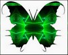 Butterfly Green Tox 