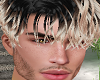 Summer Male Head