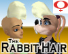 Rabbit Hair -Womens