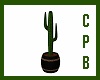 {CPB} Cactus Plant