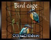 (OD) Bird cage