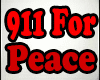 911 For Peace Anti Flag
