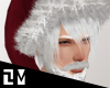 . SANTA HAT WITH HAIR