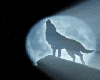 Animated Moonlight Wolf