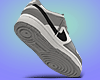 Dunks Low Grey SB W/S