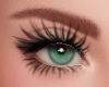Vergara Rooibos Brows