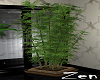 Z: WG Bamboo Plant