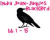 India Jean - black bird