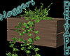 Wall Planter Birch