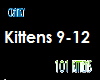 101 kittens pt3