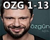 Ozgun-ASIK