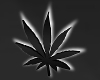 Weed Neon black