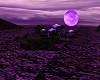 oasis purple