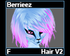Berrieez Hair F V2