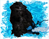 Raty Black  Rug