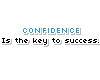 Confidence