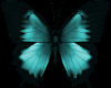 Flutterbyes