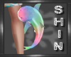 L.Leg Rainbow Shark - M