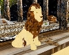 (1M)GOLDY LION
