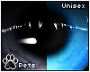 [Pets] Nalani | eyes 2-T