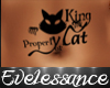 Property of KingCat 2