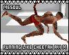 Running Like Cheetah Avi