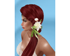 Xiall red
