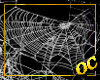 OC) Spiderwebs like real