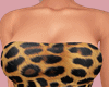 Y*Claire Set V5