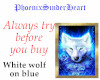White wolf on blue
