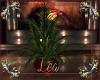 "LJS" Lovers Plant