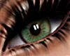 Kendra eyes
