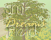 SM/Dreams Field/Tree