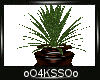 4K .:Plant:.