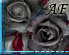 [AF]Black Rose backdrop