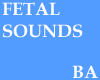[BA] Fetal Sounds -Males