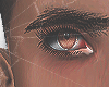 MY EYEBROWS