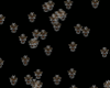 {LA} Harley particle