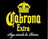 toxica blackground