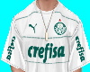 T-shirt Palmeiras 22/23
