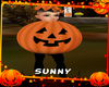 *SW*Kids Pumpkin Costume