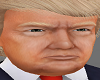 H/Donald Trump Head