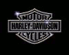 Harley Davidson 2013
