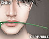 Drv Rose Mouth