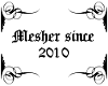 Mesher 2010
